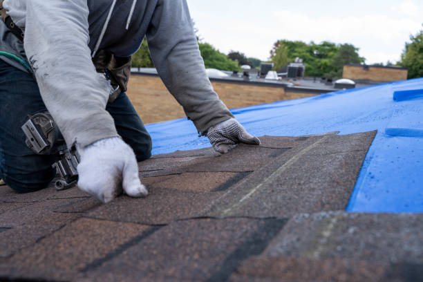 Sheet Metal Roofing in Montrose, MI