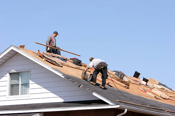 Trusted Montrose, MI Roofing services Experts